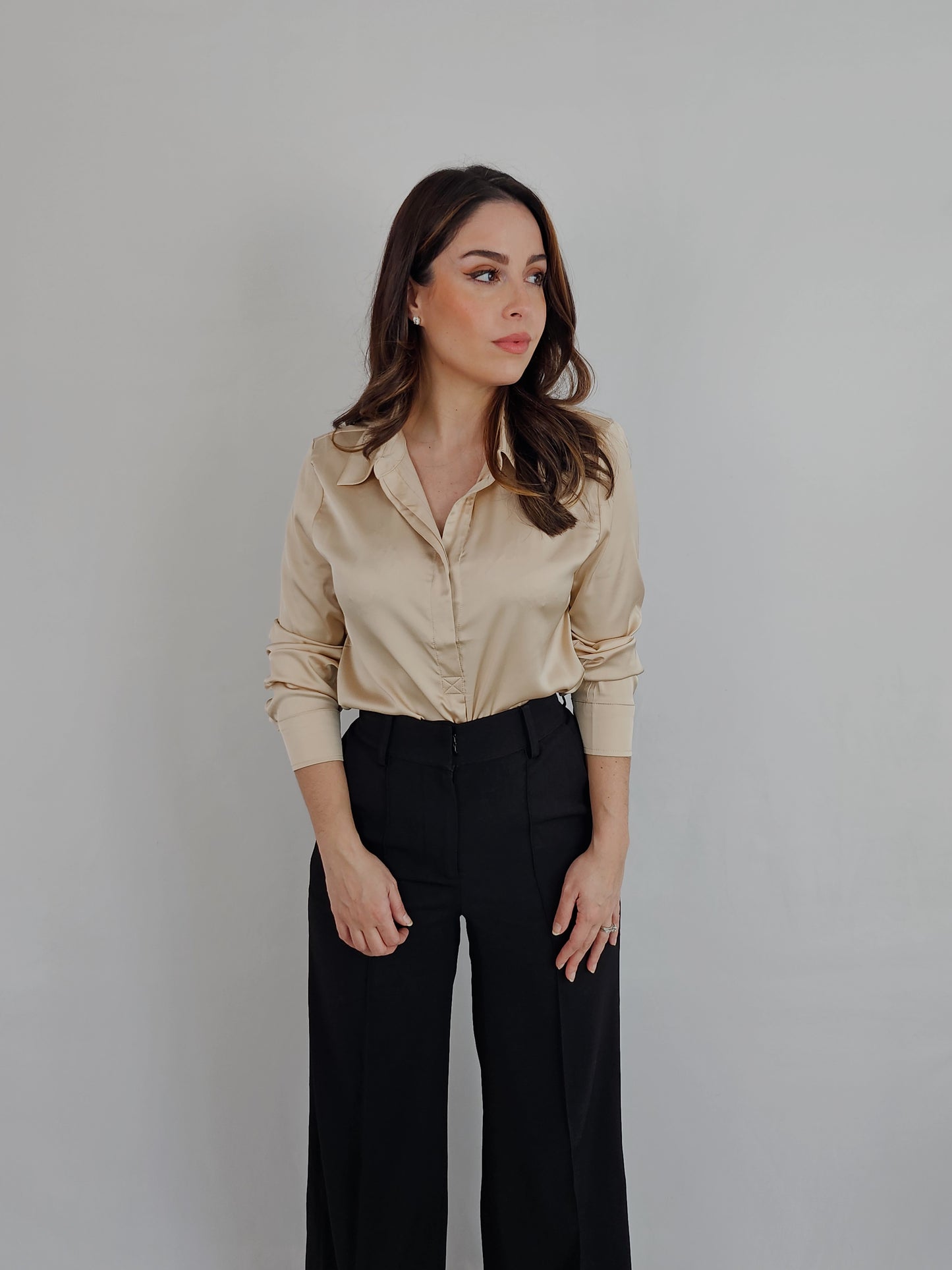SATIN LONG SLEEVE DRESS SHIRT