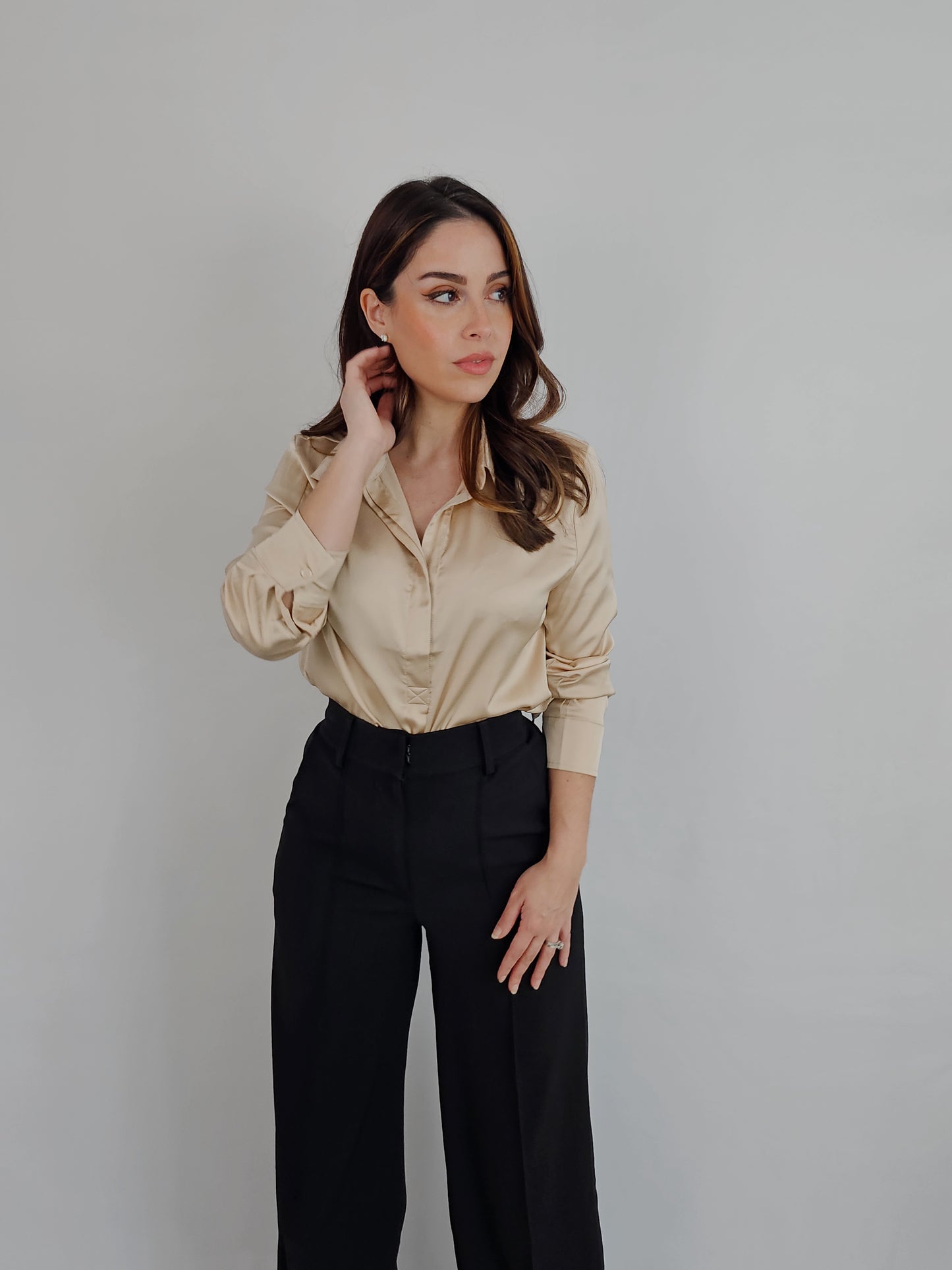 SATIN LONG SLEEVE DRESS SHIRT